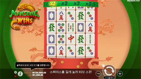 와일드 부스터