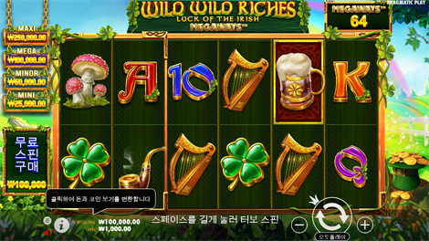 와일드 비치 파티